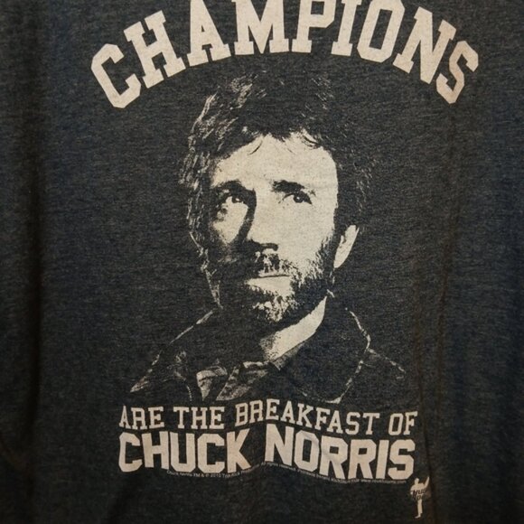 GAP Chuck Norris Champions Gray Graphic Short Sleeve Men's t-shirt Size XXL - Picture 2 of 6